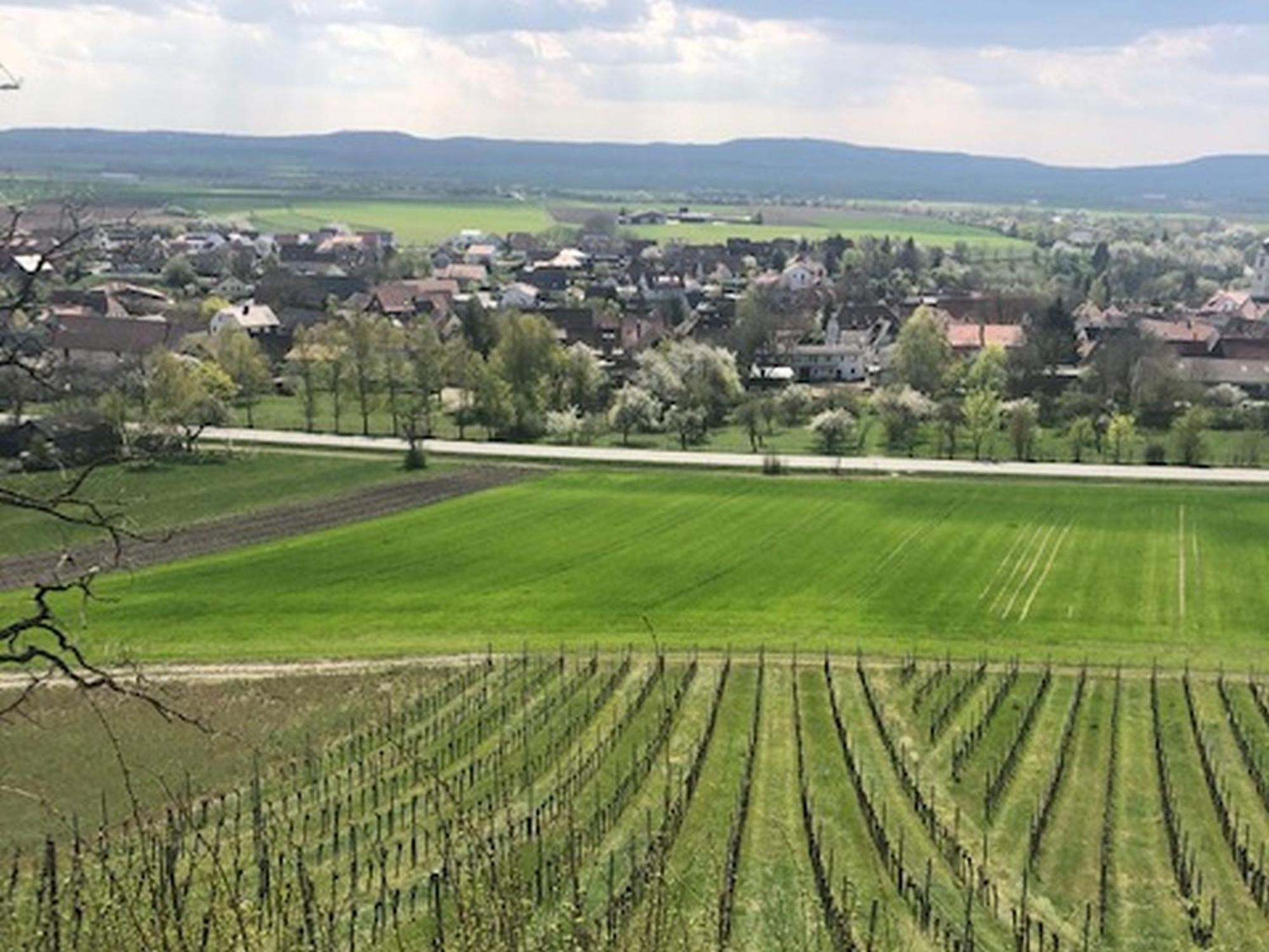 Ferienwohnung Weinberg Markt Einersheim Dış mekan fotoğraf
