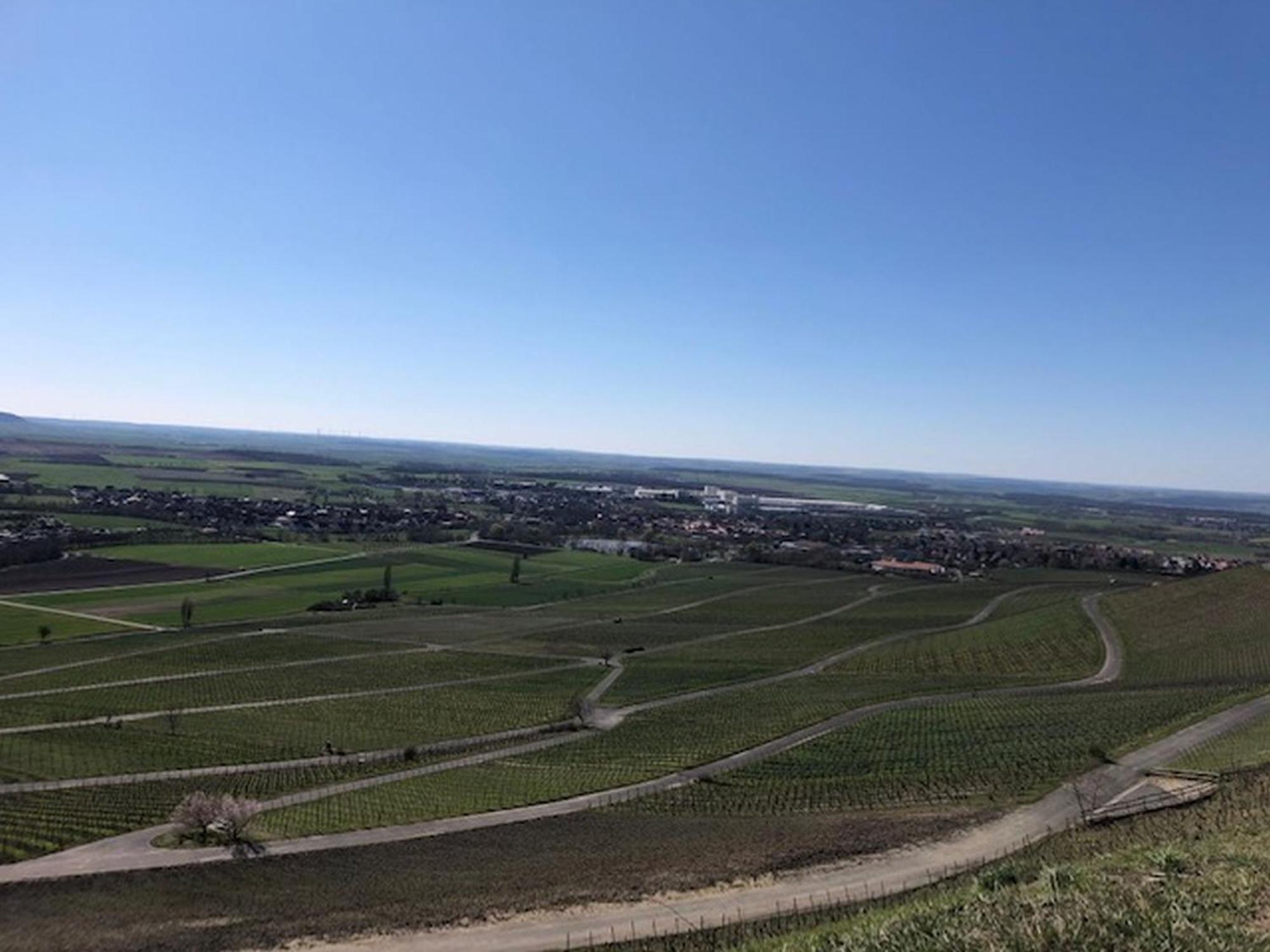 Ferienwohnung Weinberg Markt Einersheim Dış mekan fotoğraf